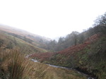 SX10725 View down Caerfanell river, Brecon Beacons National Park.jpg